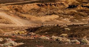 《冒险岛：联盟的意志》预下载开启！大咖云集福利满满